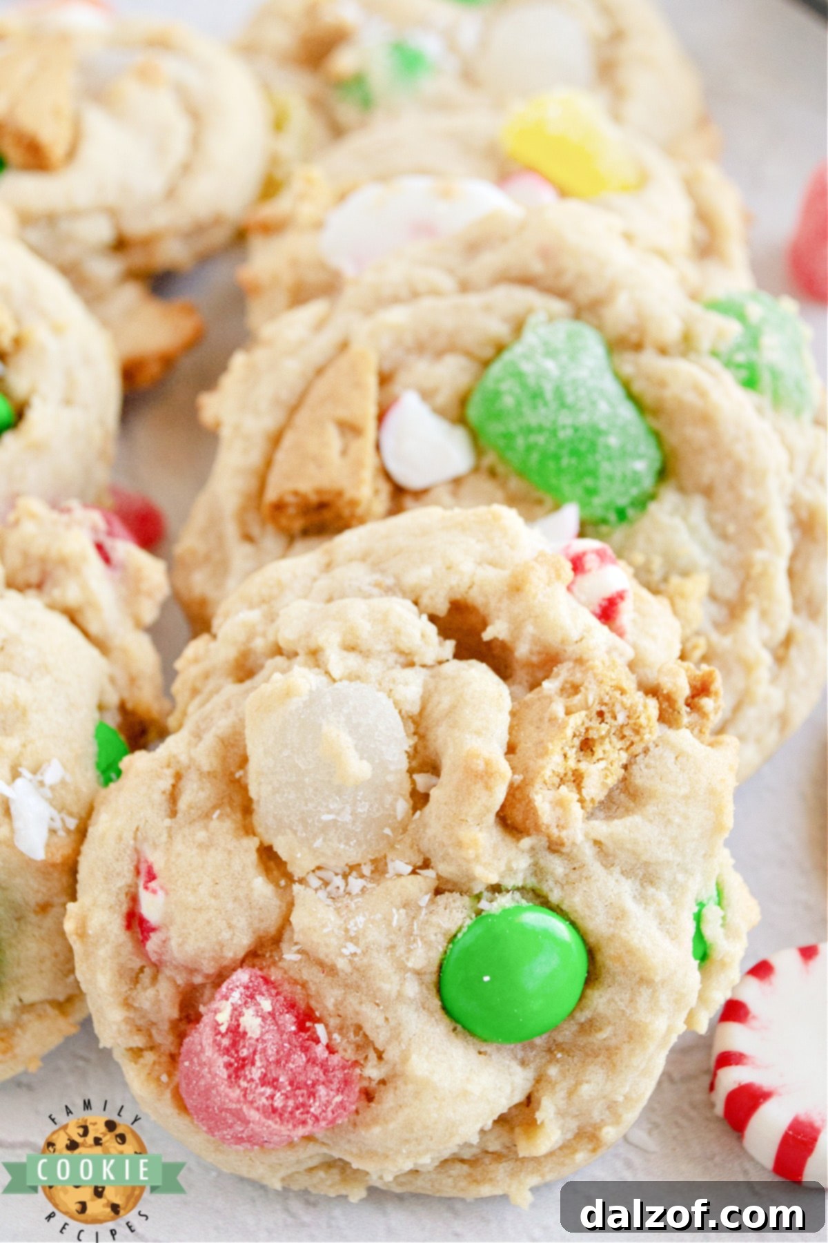 Cookies made with gingerbread house decorations