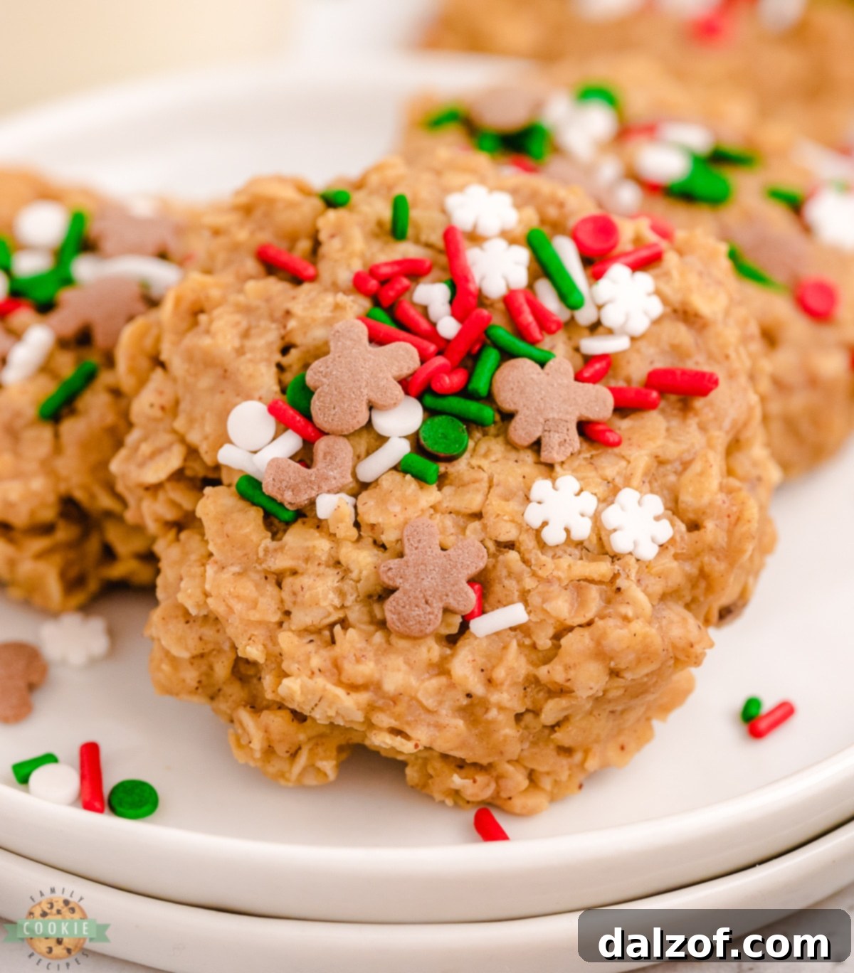 no bake gingerbread cookies with oats