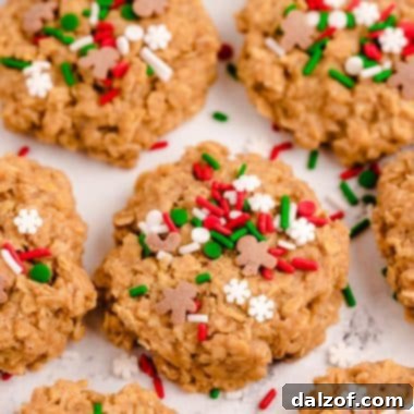 easy no bake gingerbread cookies