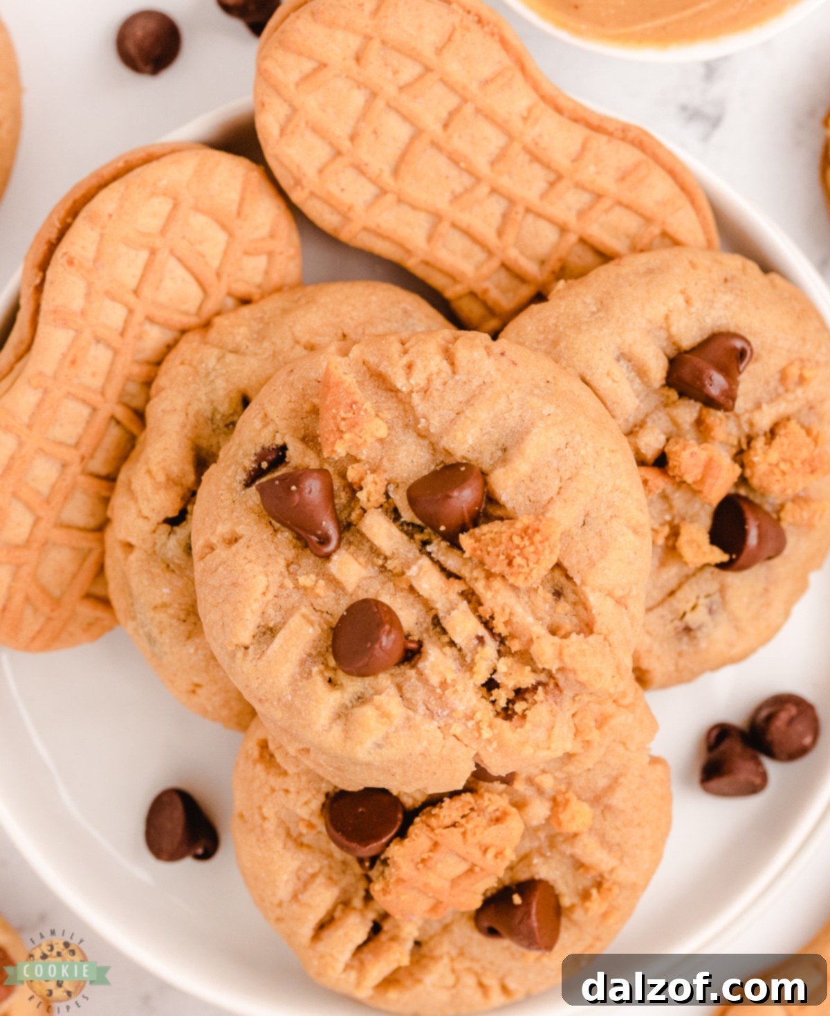 Delicious Nutter Butter Cookies baked into a chocolate chip peanut butter cookie, showcasing a perfect blend of flavors and textures.
