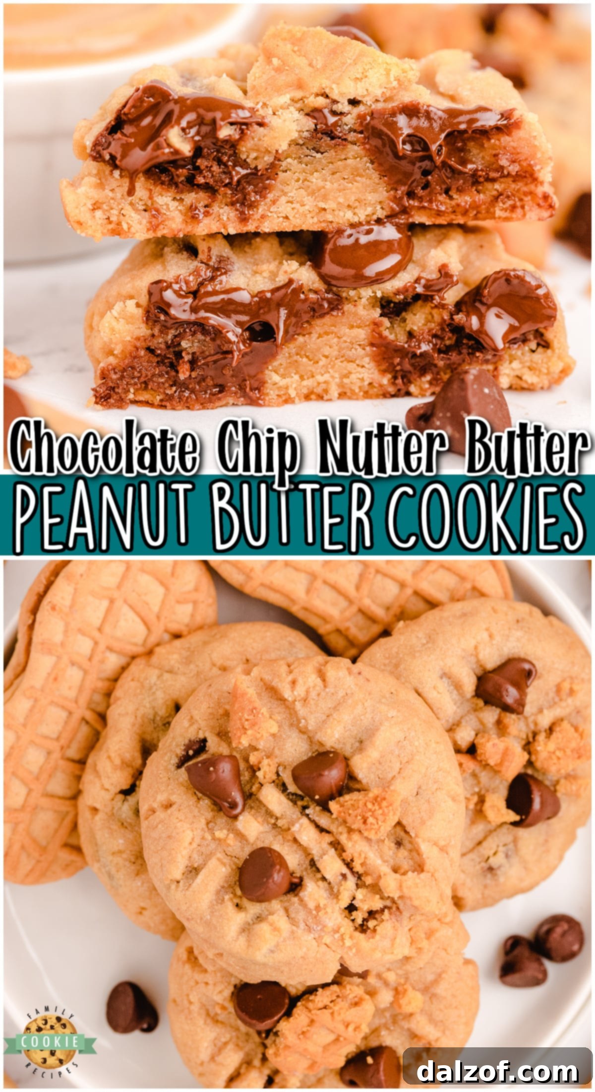 A close-up shot of Nutter Butter Chocolate Chip Peanut Butter Cookies, highlighting the perfect fusion of peanut butter and chocolate, a must-try for all Nutter Butter enthusiasts.