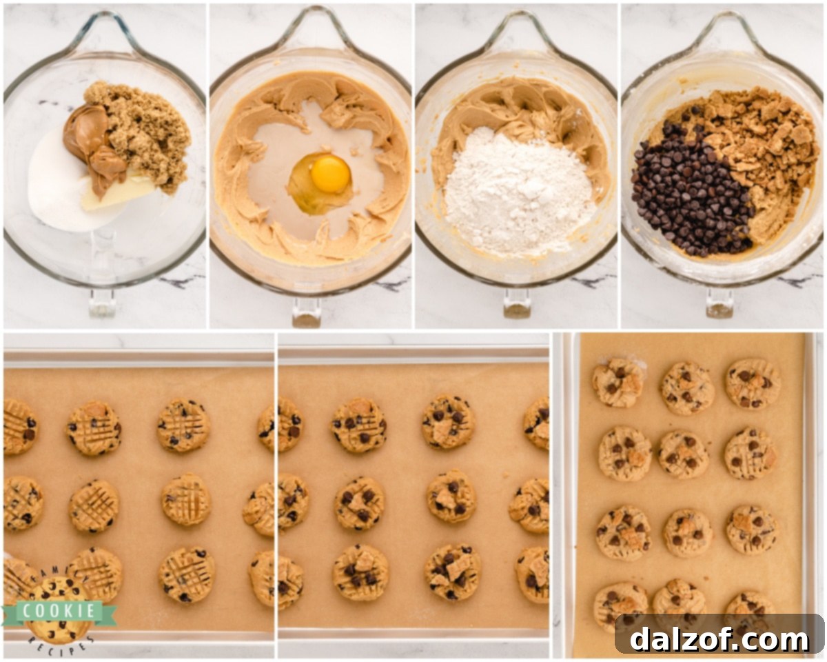 Step-by-step image showing how to make Nutter Butter Chocolate Chip Peanut Butter cookies, from ingredients to mixing.