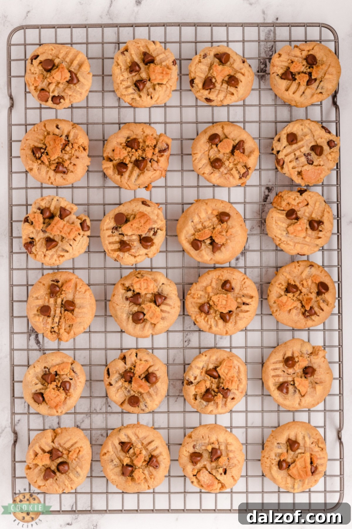 Freshly baked peanut butter chocolate chip cookies with Nutter Butter pieces cooling on a wire rack.