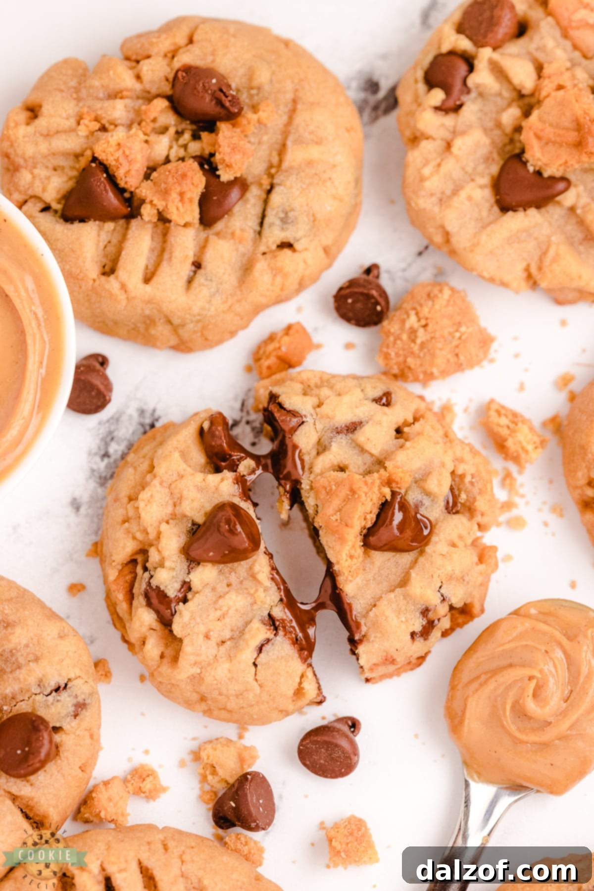 Close-up of Nutter Butter cookies clearly visible within a freshly baked peanut butter chocolate chip cookie.