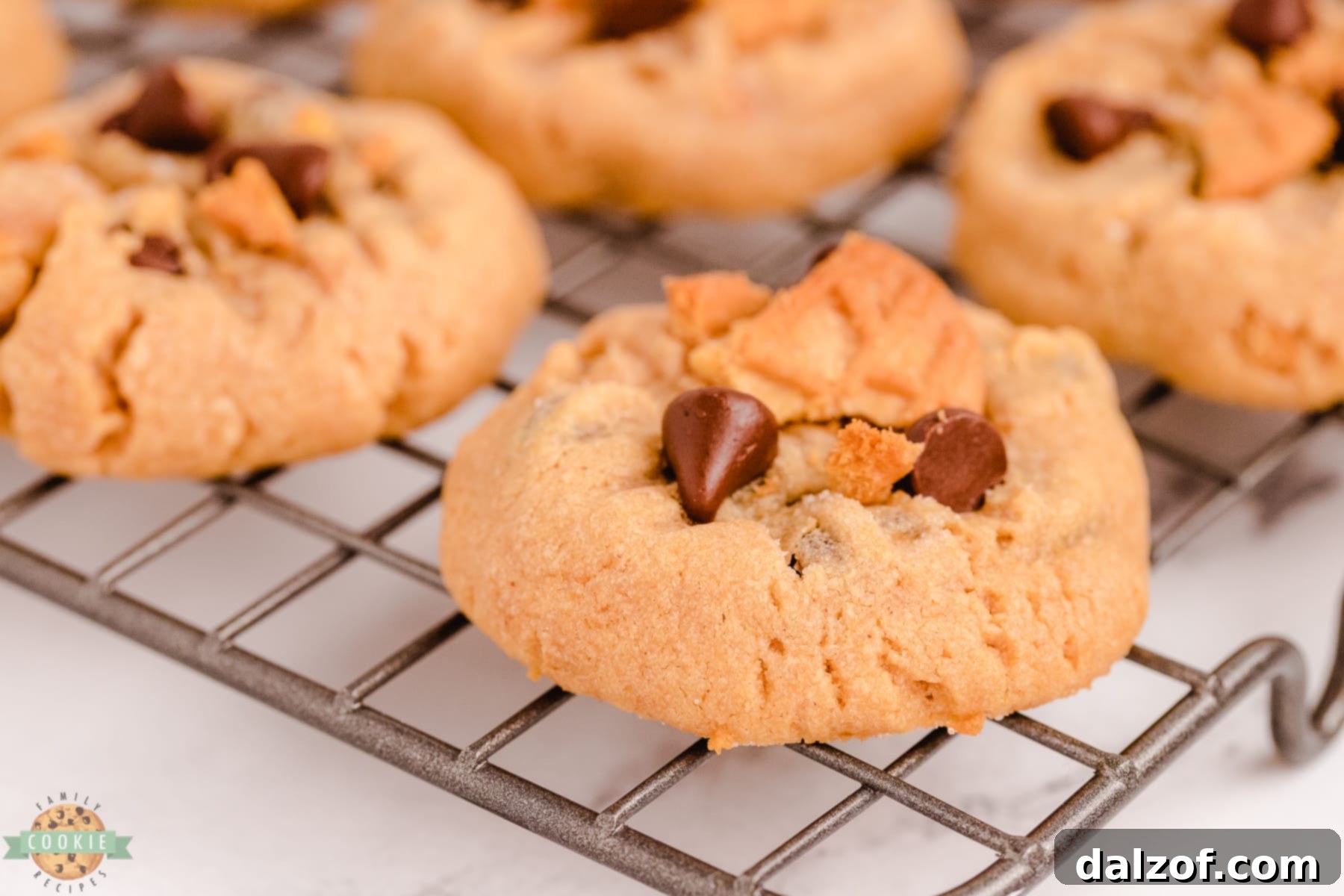 A single, perfectly baked peanut butter chocolate chip cookie with Nutter Butter pieces resting on a wire cooling rack.