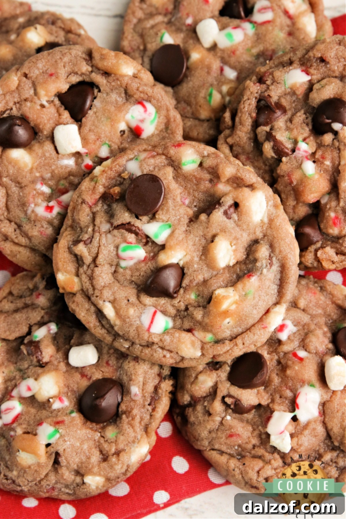 Hot Cocoa Cookies made with hot cocoa mix, chocolate chips, crushed candy canes and marshmallow bits. These hot chocolate cookies are simple to make and have all the flavors of a cup of your favorite hot cocoa! 