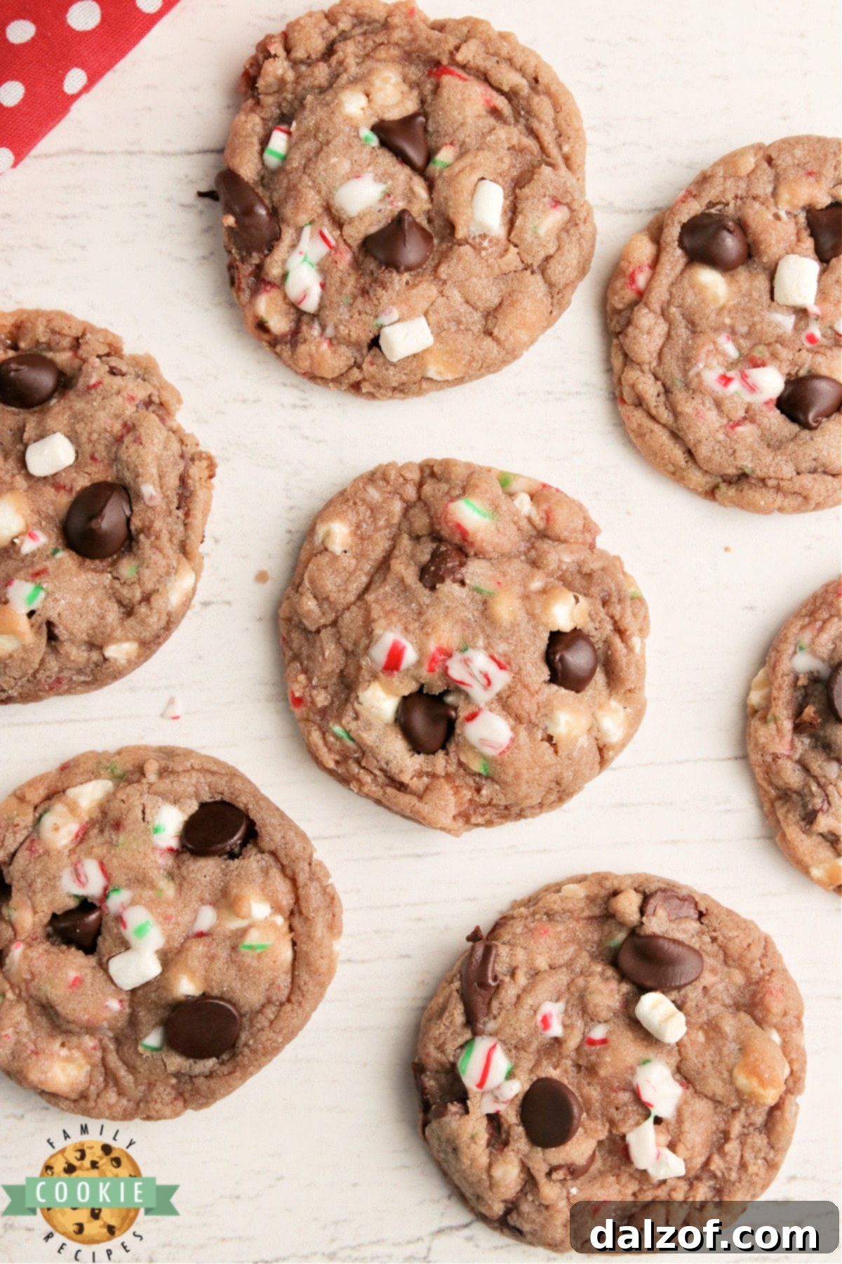 Hot chocolate cookie recipes