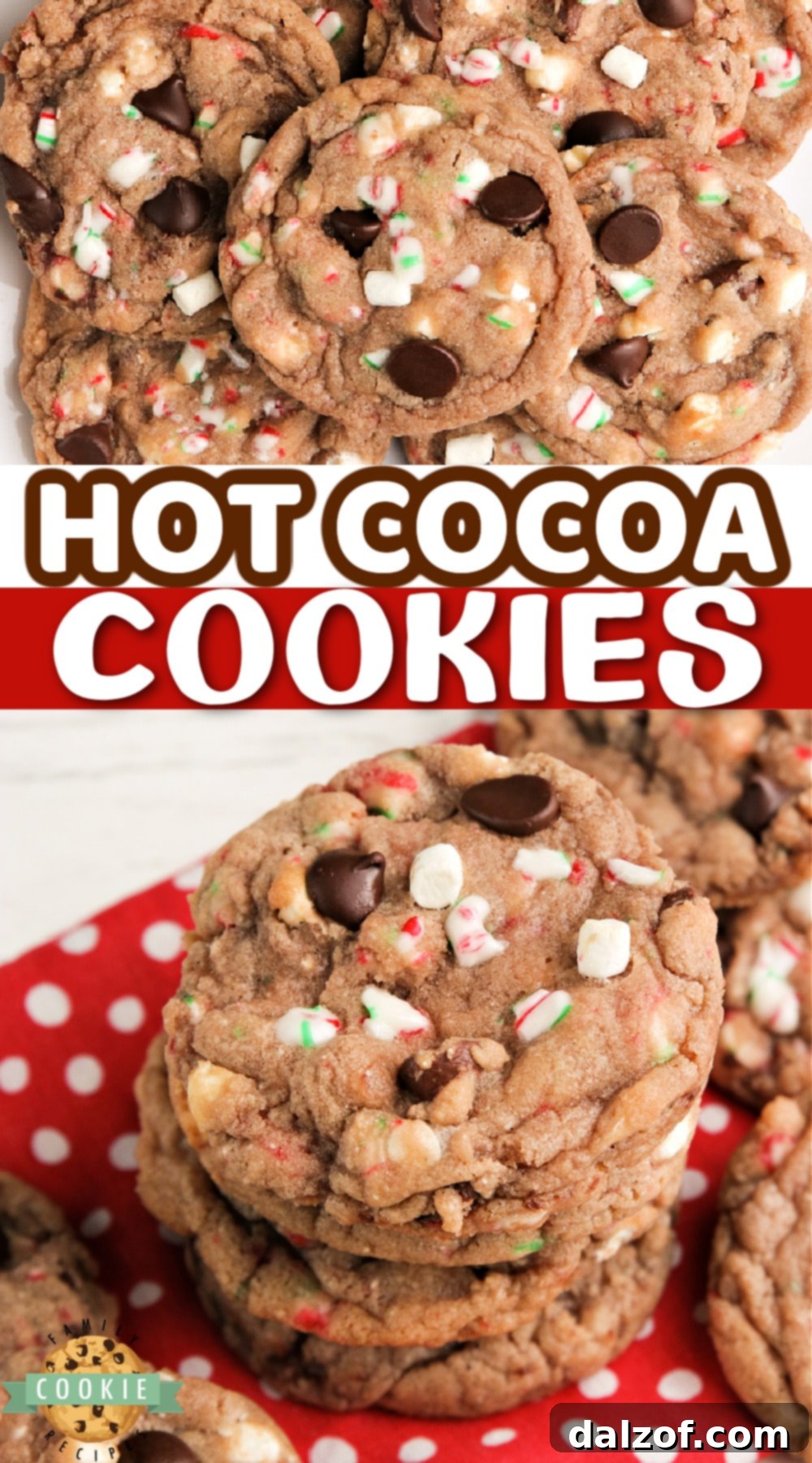 Hot Cocoa Cookies made with hot cocoa mix, chocolate chips, crushed candy canes and marshmallow bits. These hot chocolate cookies are simple to make and have all the flavors of a cup of your favorite hot cocoa! 