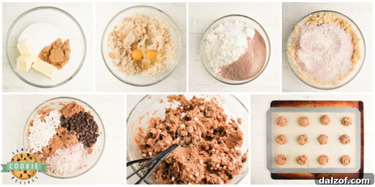 How to make Hot Cocoa Cookies