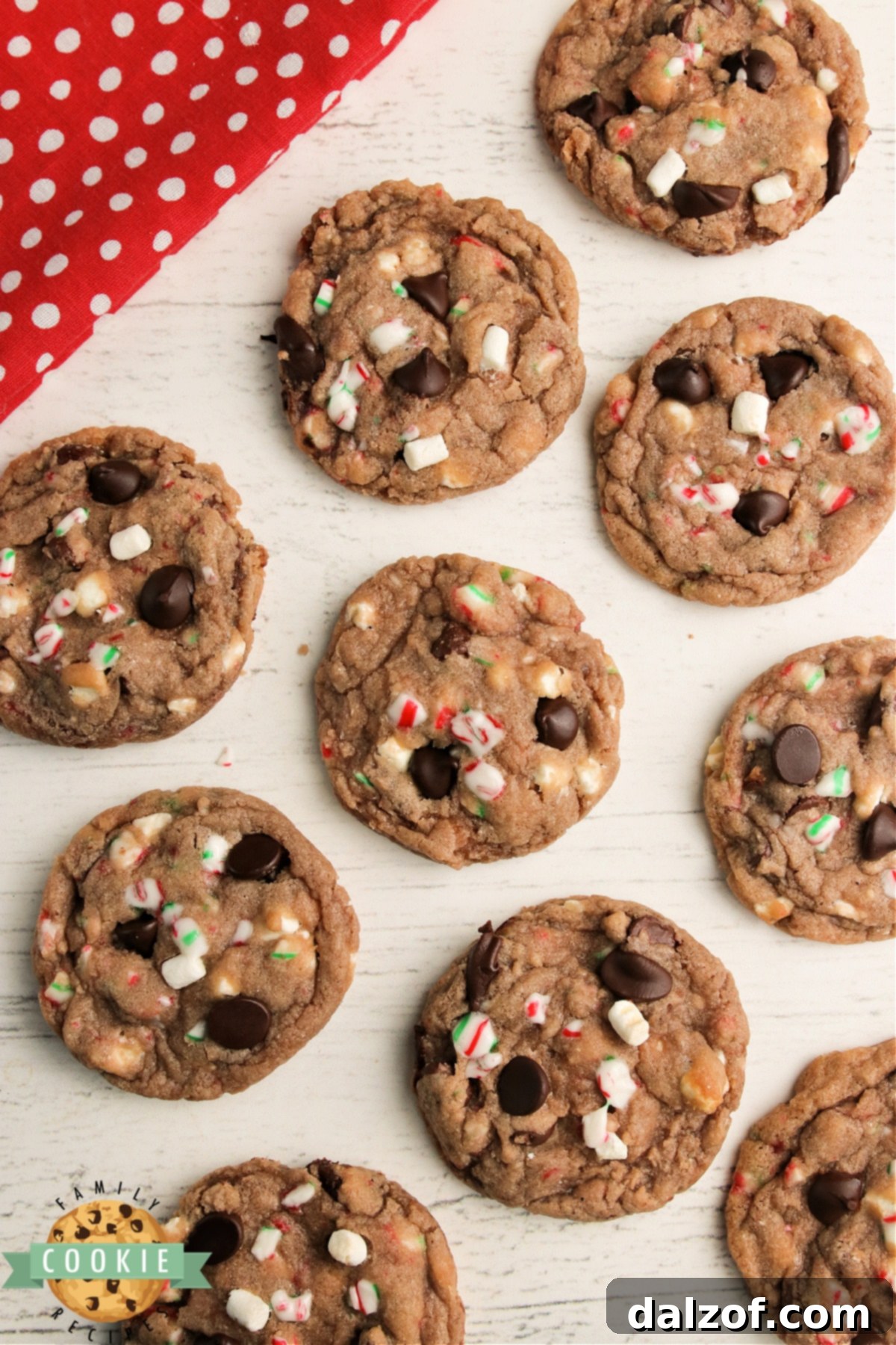 Hot chocolate cookies