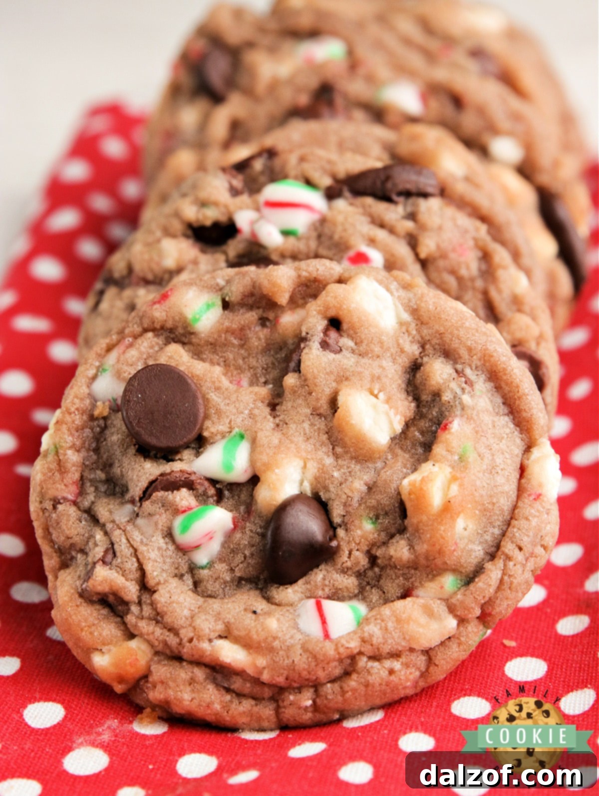 Cookies with hot cocoa mix, chocolate chips and candy canes