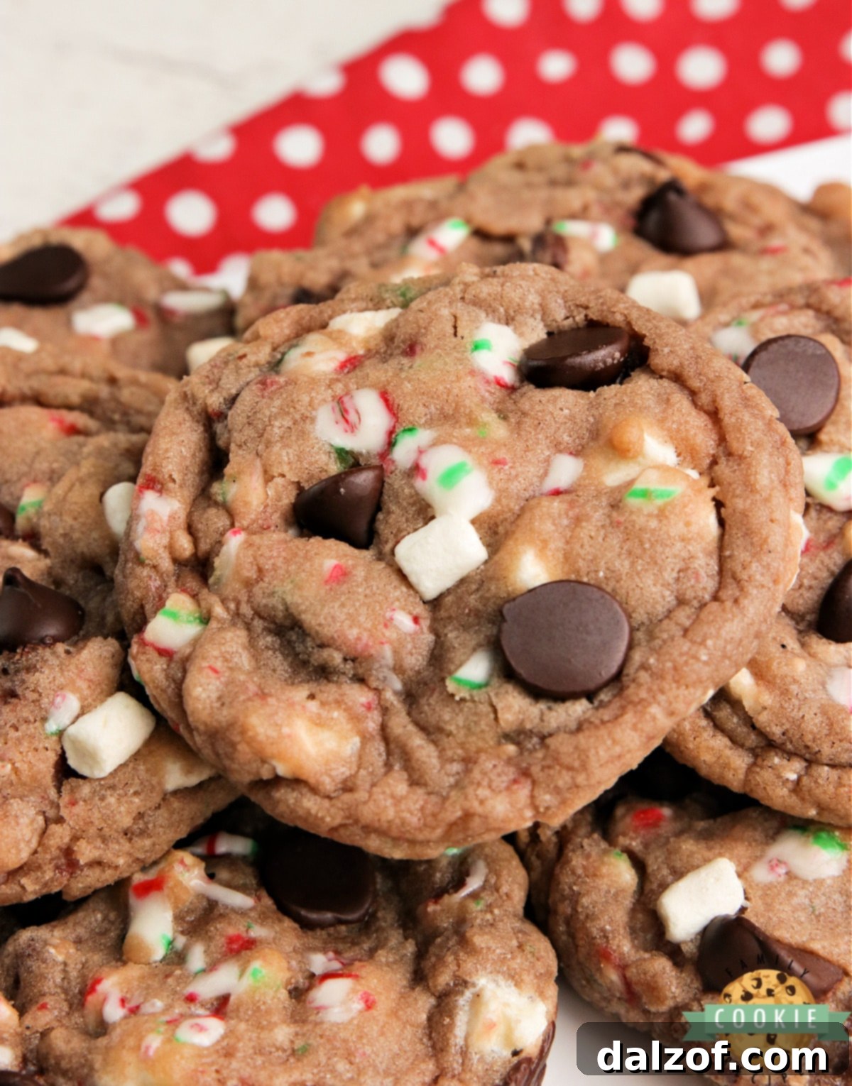 Hot cocoa cookie recipe