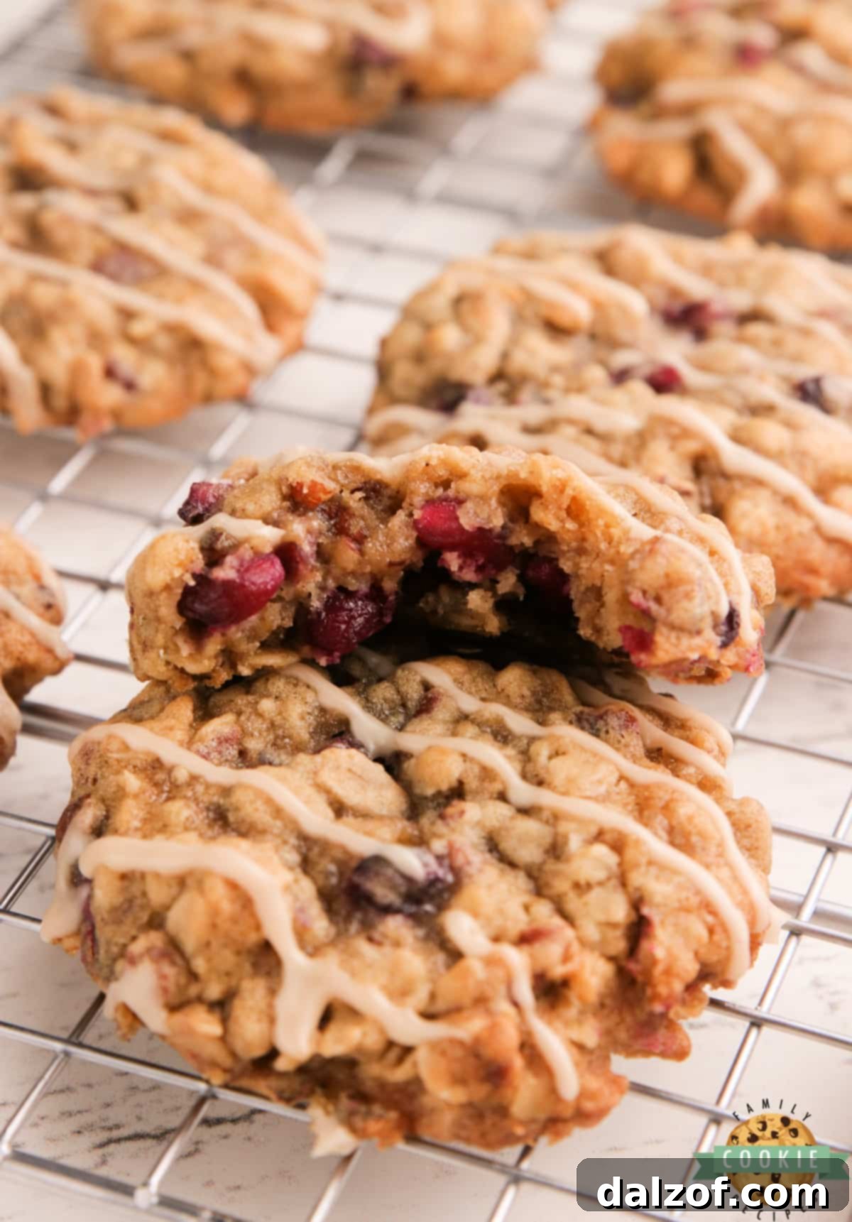 Delicious oatmeal cookie recipe featuring pomegranate seeds and pecans