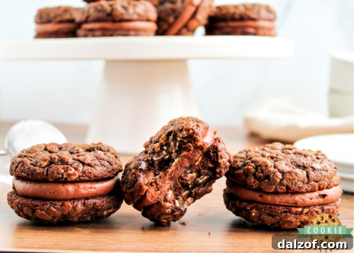 Decadent Chocolate Oatmeal Cream Pies 11 A plate of perfectly assembled chocolate oatmeal cookie sandwiches, ready to be served.