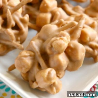 Marshmallow Peanut Butter No Bake Cookies