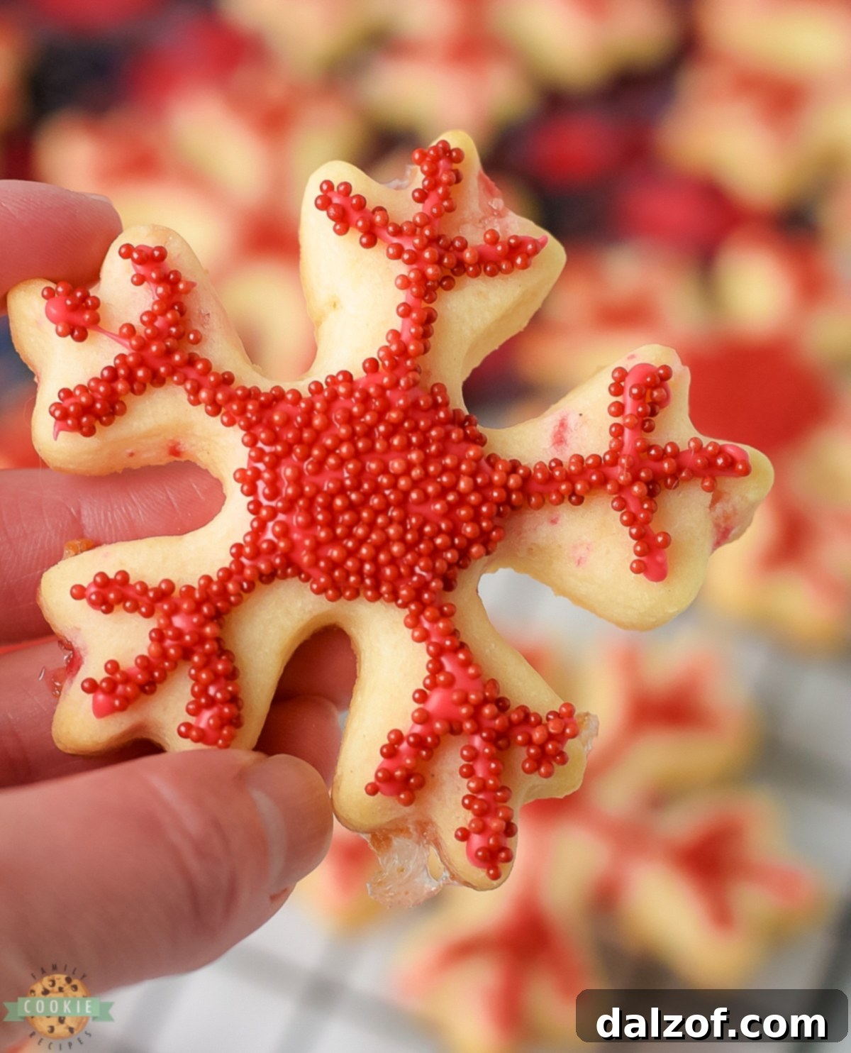 A hand gently holding a vibrant red peppermint cutout Christmas cookie