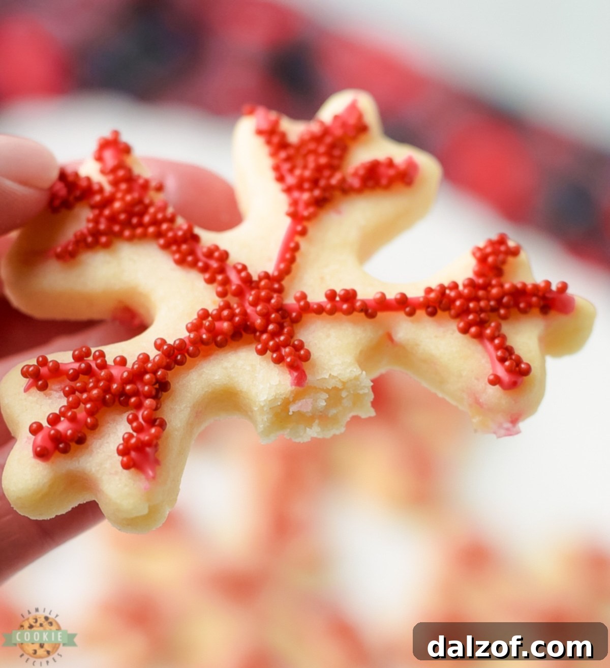 A peppermint sugar cookie with a bite taken out, showing its texture