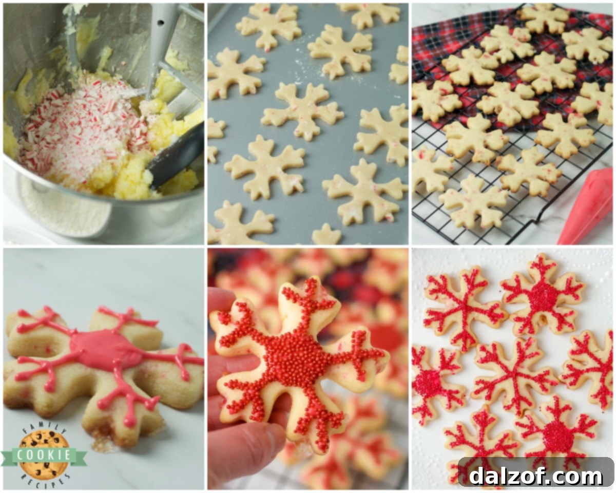 Step-by-step image showcasing how to make peppermint cut out cookies