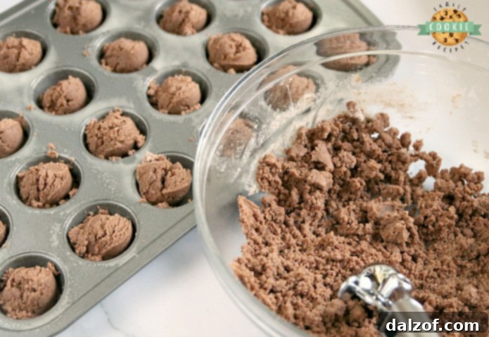 Reese's Chocolate Cookie Cups are bite-sized treats made with a delicious chocolate cookie base that is filled with a miniature Reese's Peanut Butter Cup! The perfect chocolate and peanut butter dessert!