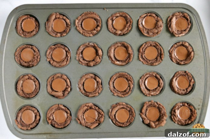Reese's Chocolate Cookie Cups are bite-sized treats made with a delicious chocolate cookie base that is filled with a miniature Reese's Peanut Butter Cup! The perfect chocolate and peanut butter dessert!