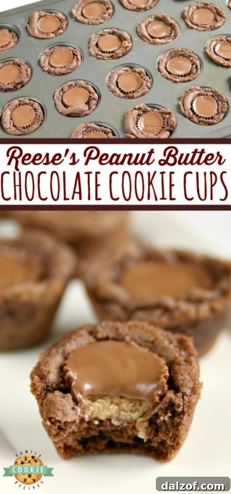 Reese's Chocolate Cookie Cups are bite-sized treats made with a delicious chocolate cookie base that is filled with a miniature Reese's Peanut Butter Cup! The perfect chocolate and peanut butter dessert!