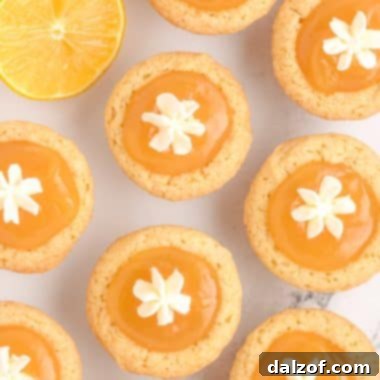 Lemon curd cookies with dollops of whipped cream on top