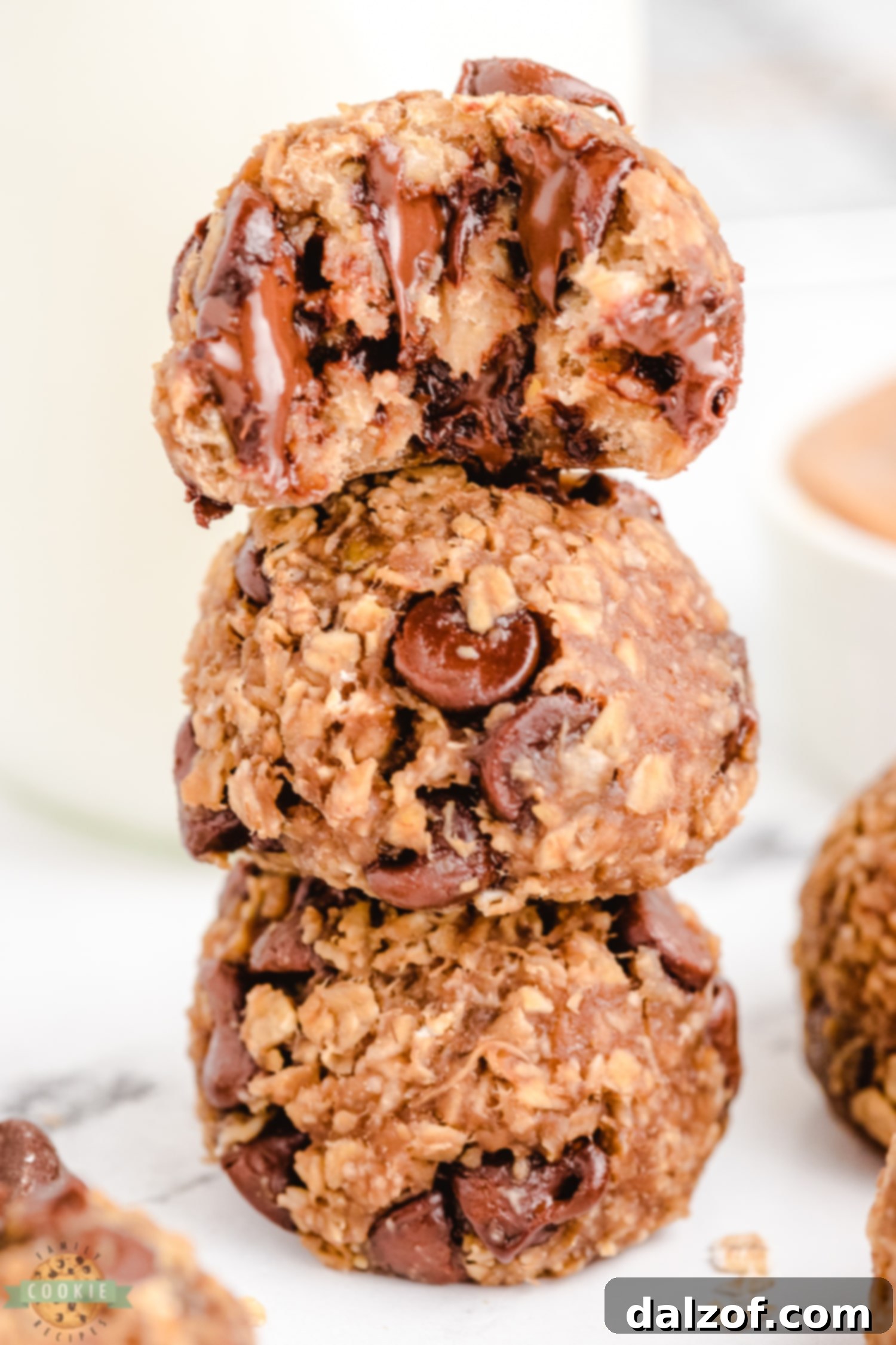 rolled Vegan cookies with chocolate chips