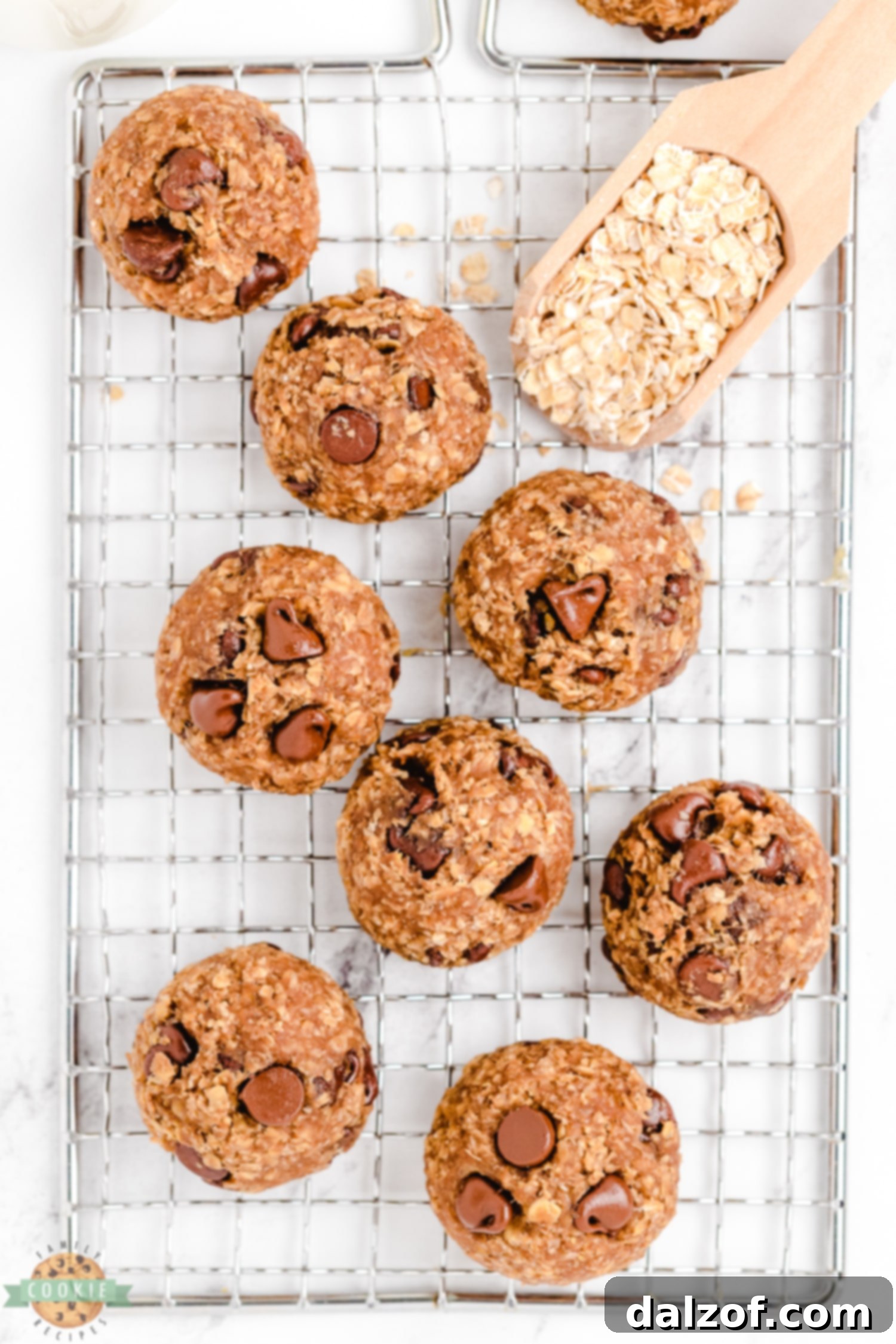 raw Vegan chocolate chip cookies on a cooling rack