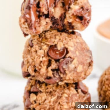 rolled Vegan cookies with chocolate chips