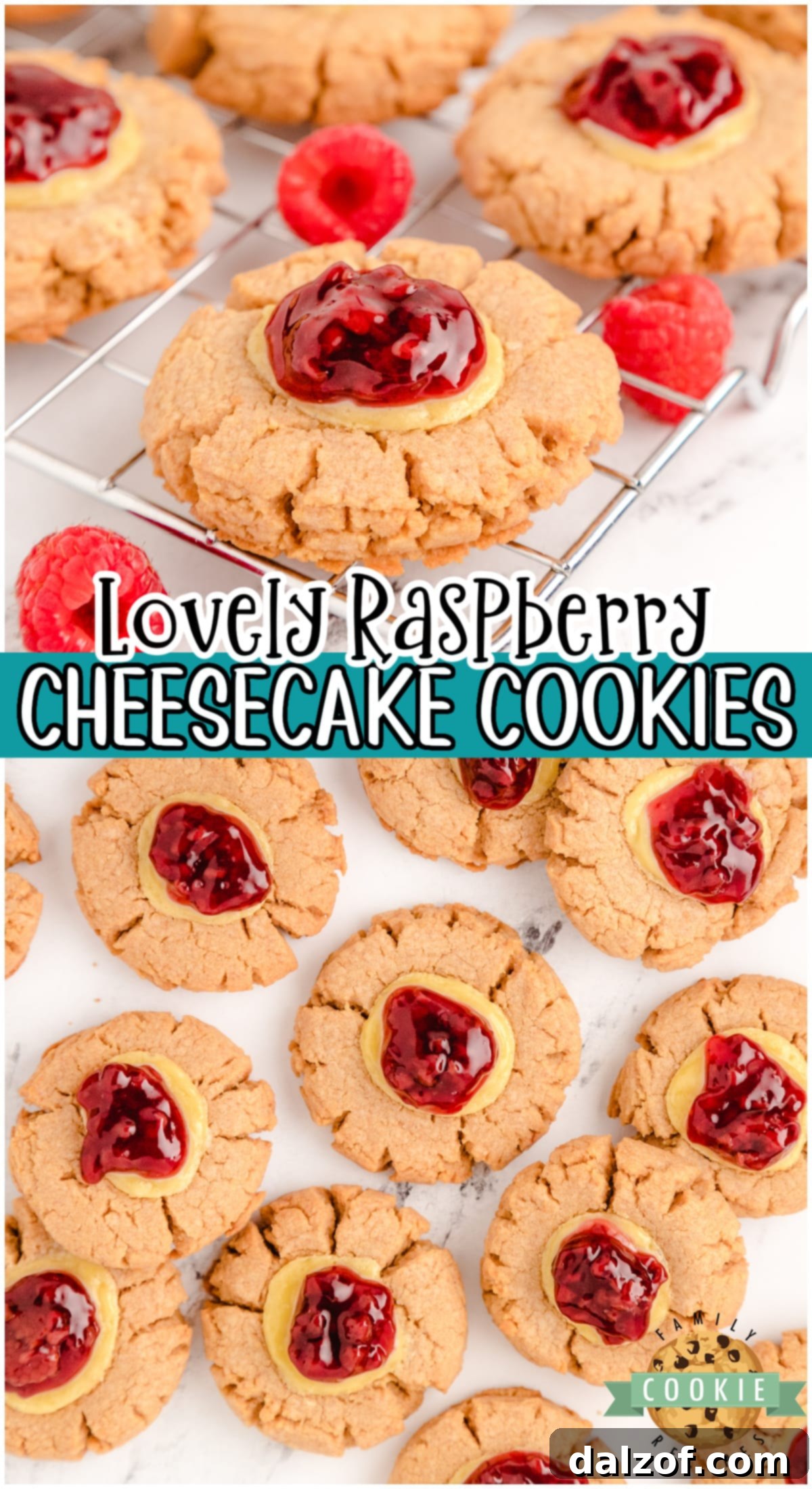 A stunning final shot of Easy Raspberry Cheesecake cookies, showcasing their intricate details and delicious topping, ready for serving.