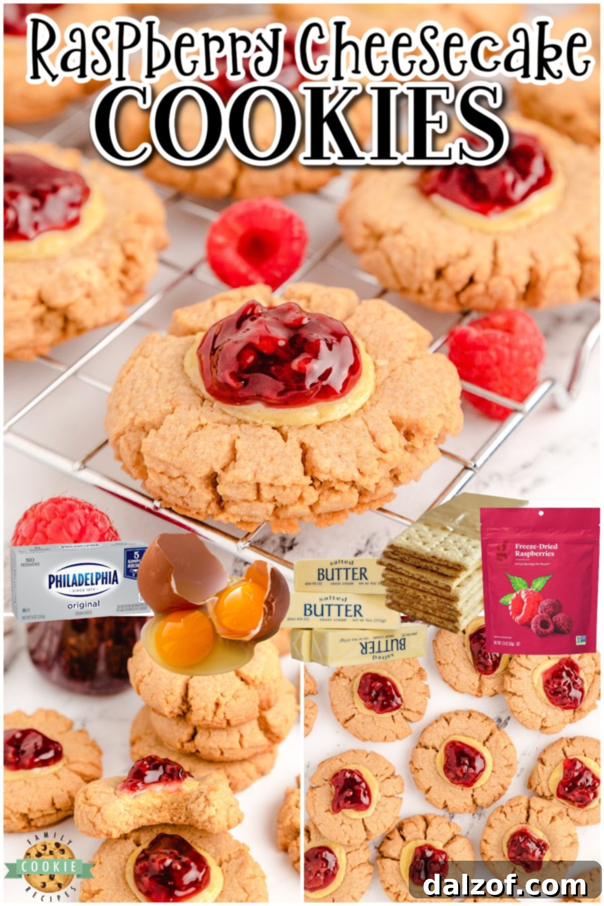 A vibrant collage of Easy Raspberry Cheesecake cookies, highlighting their graham cracker base, creamy filling, and raspberry topping. Ideal for cheesecake enthusiasts.