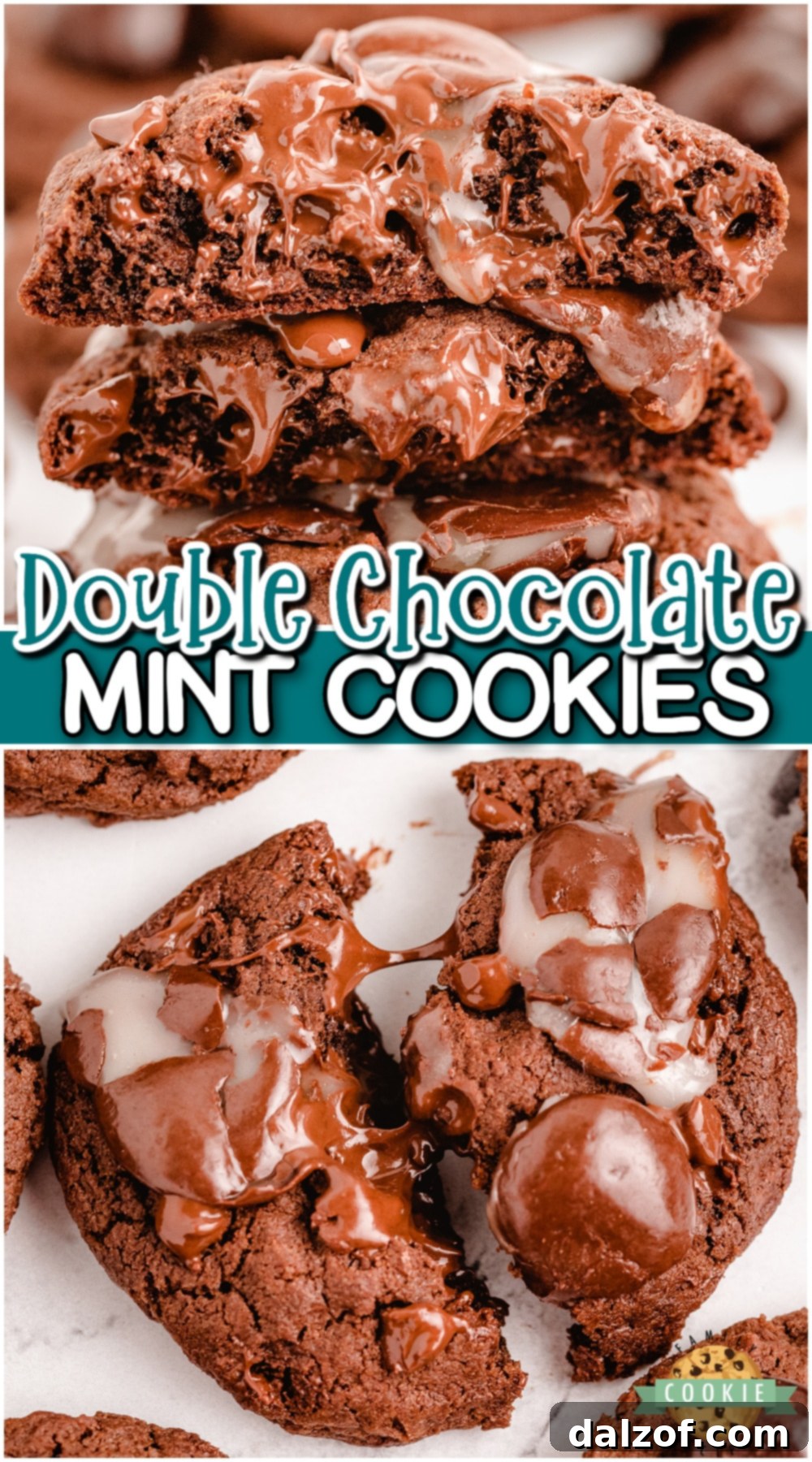 Double Chocolate Junior Mint Cookies, a chewy chocolate cookie recipe topped with Junior Mints, perfect for mint chocolate lovers. Pin this recipe!