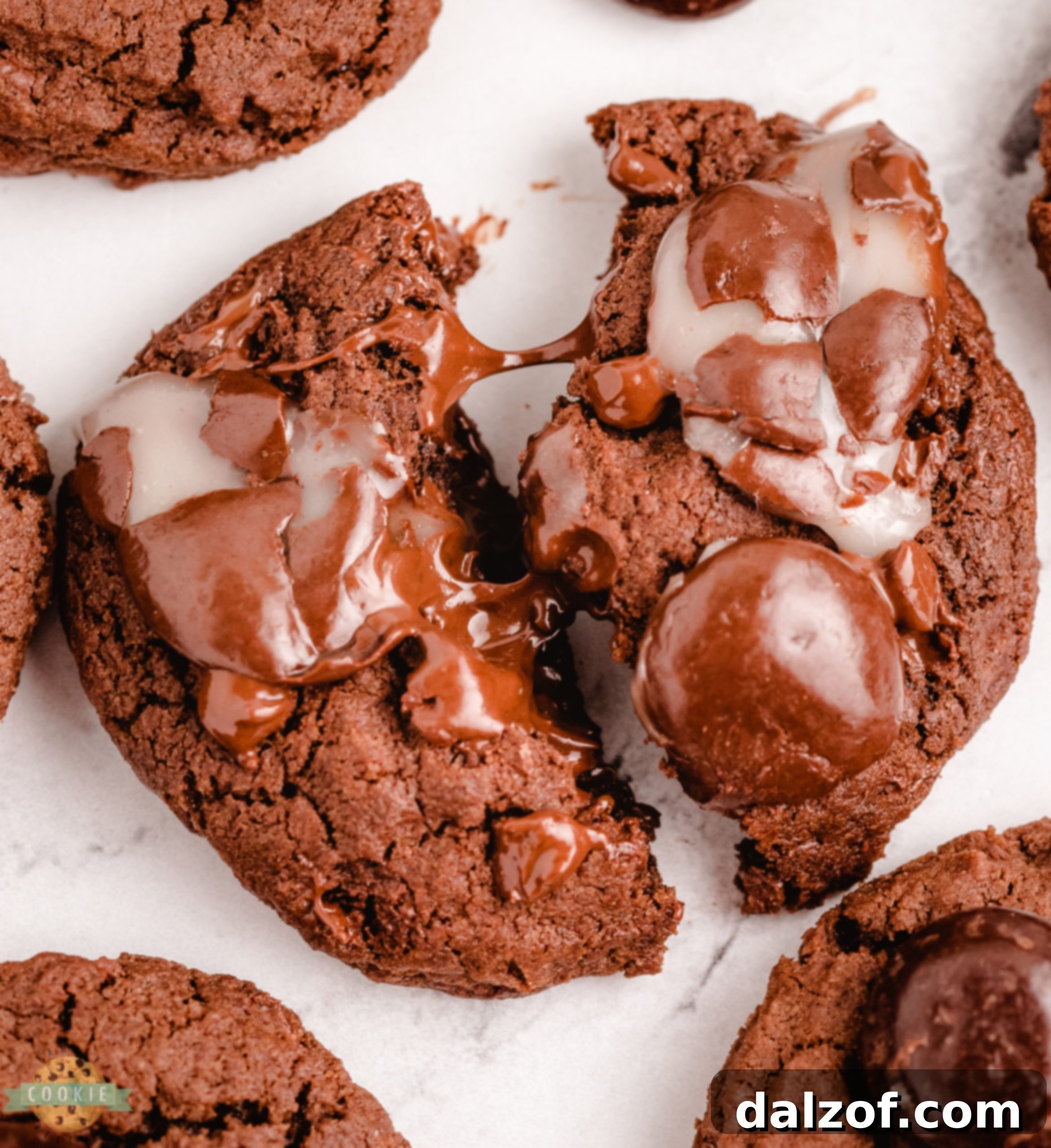 A chocolate cookie topped with Junior Mints, broken in half to reveal its soft, chewy interior