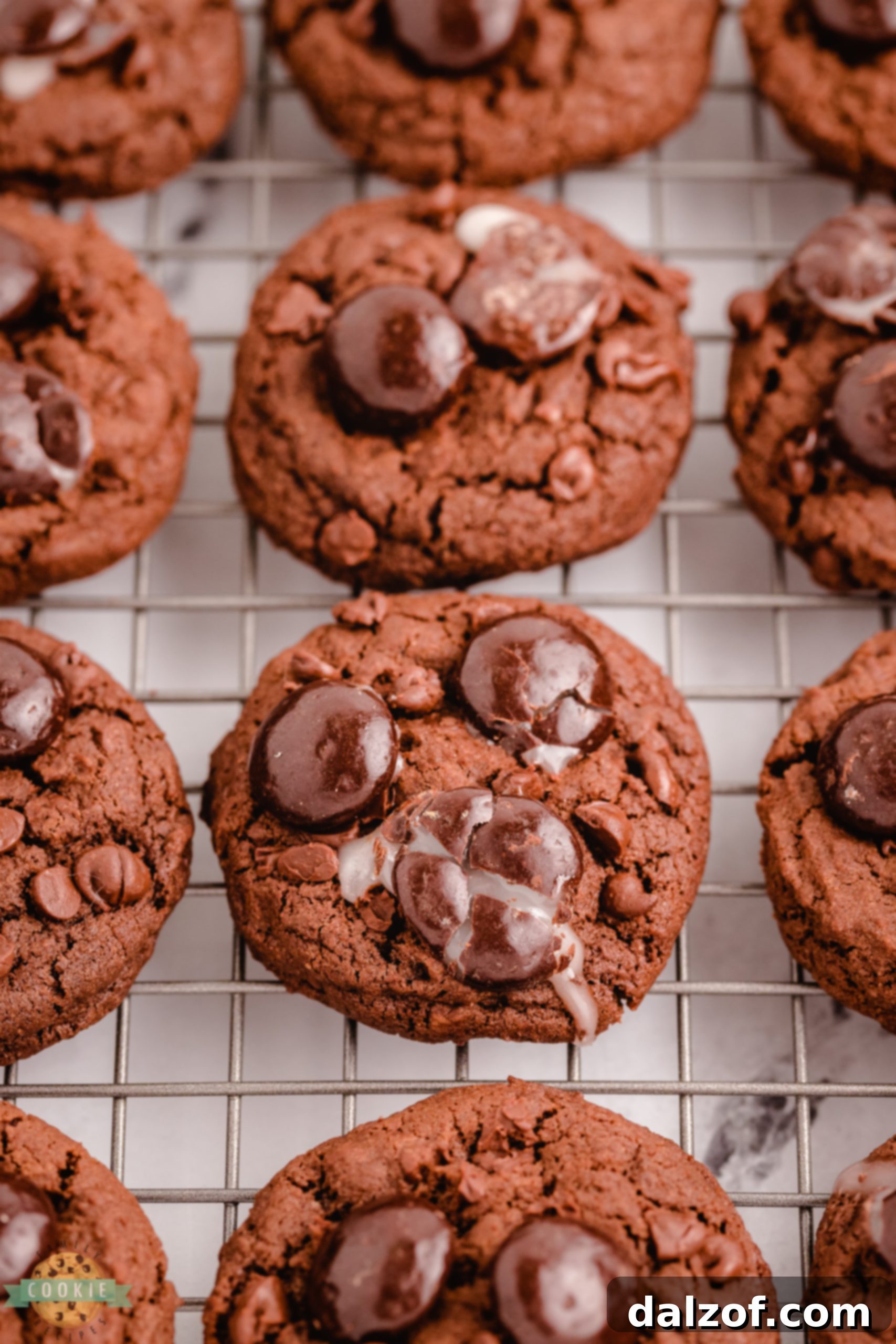 Freshly baked Junior Mint cookies cooling on a wire rack