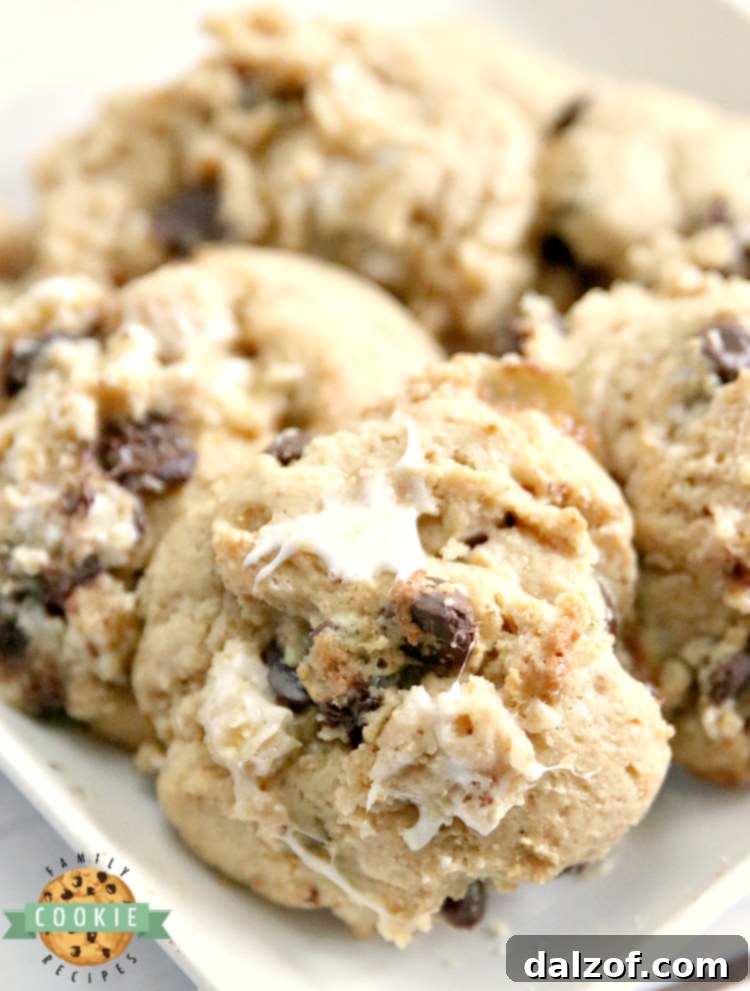 Graham Cracker S'mores Cookies are made with graham cracker crumbs, marshmallows and chocolate chips. All of the elements of a s'more in a deliciously soft and chewy cookie recipe!