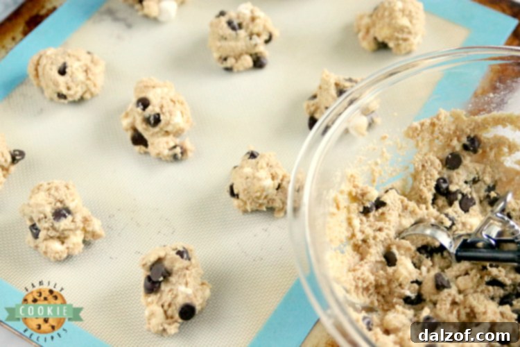 Graham Cracker S'mores Cookies are made with graham cracker crumbs, marshmallows and chocolate chips. All of the elements of a s'more in a deliciously soft and chewy cookie recipe!