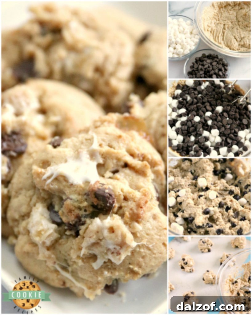 Graham Cracker S'mores Cookies are made with graham cracker crumbs, marshmallows and chocolate chips. All of the elements of a s'more in a deliciously soft and chewy cookie recipe!