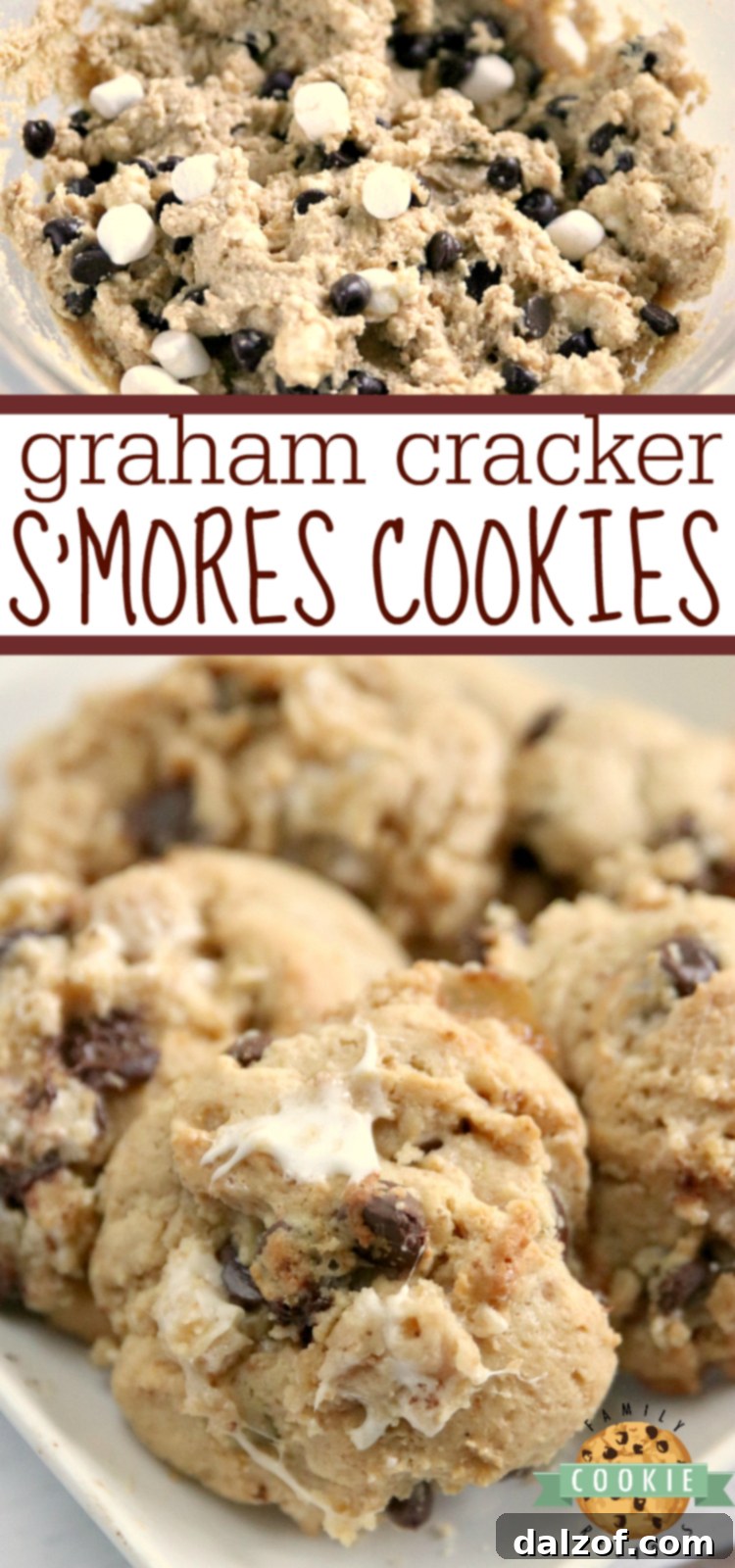 Graham Cracker S'mores Cookies are made with graham cracker crumbs, marshmallows and chocolate chips. All of the elements of a s'more in a deliciously soft and chewy cookie recipe!