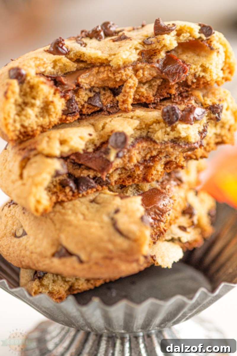 Reese's Chocolate Chip Cookies