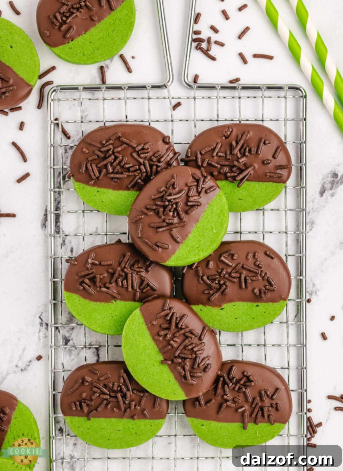 Green mint chocolate cookies with chocolate jimmies sprinkles, ready to be enjoyed.
