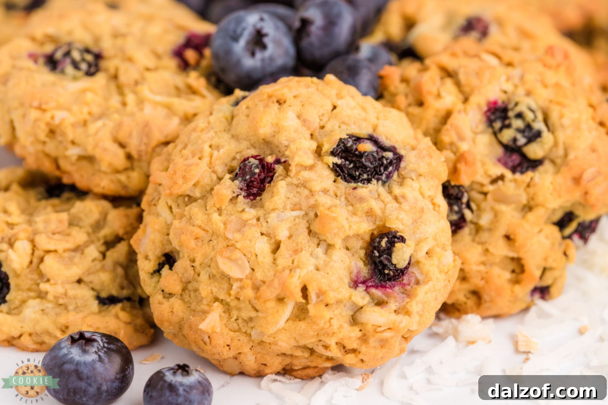 oatmeal cookies made with fresh blueberries and coconut
