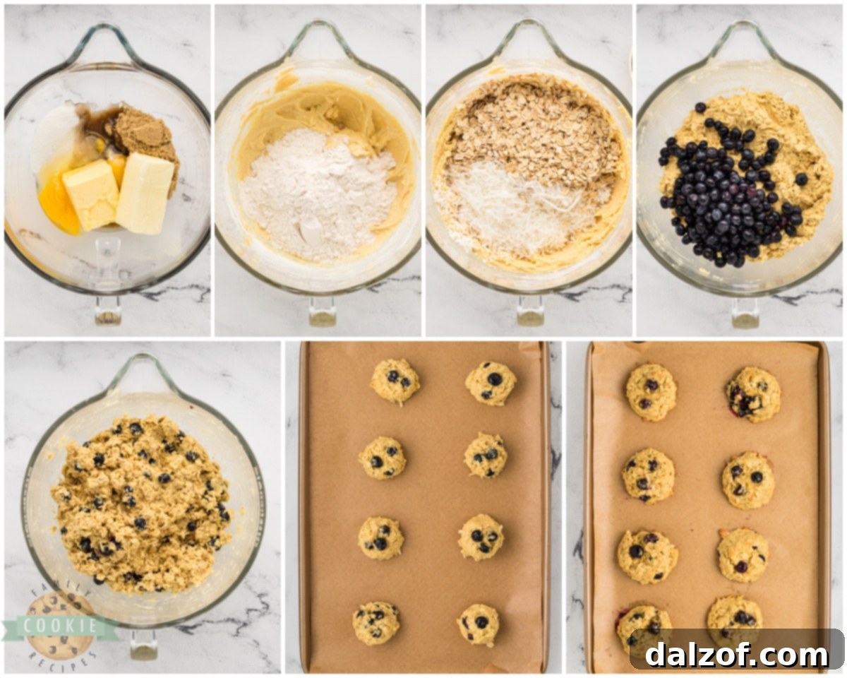 how to make blueberry coconut oatmeal cookies