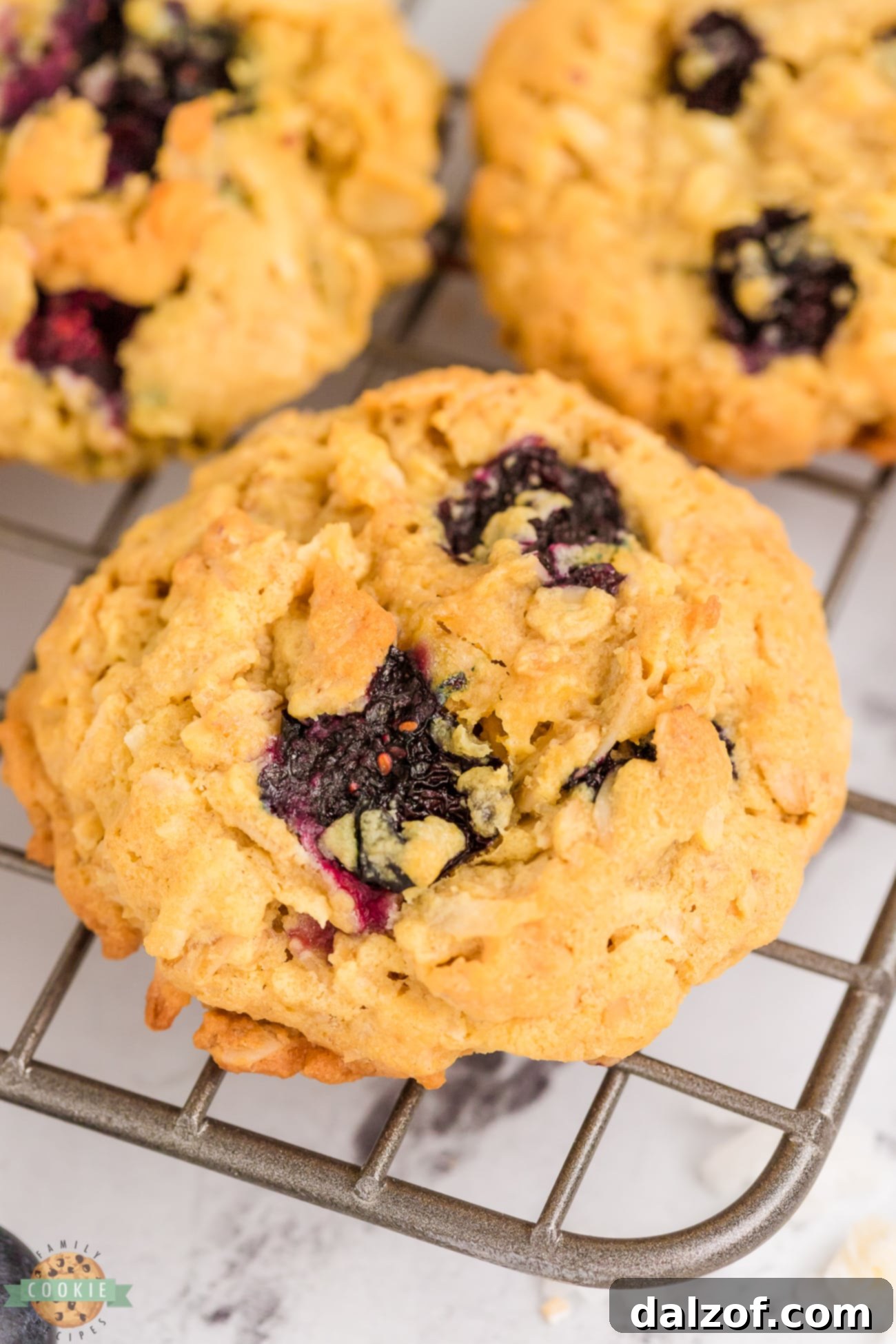 oatmeal cookie made with fresh blueberries and coconut