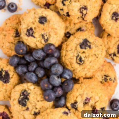 Blueberry coconut oatmeal cookies made with pudding mix