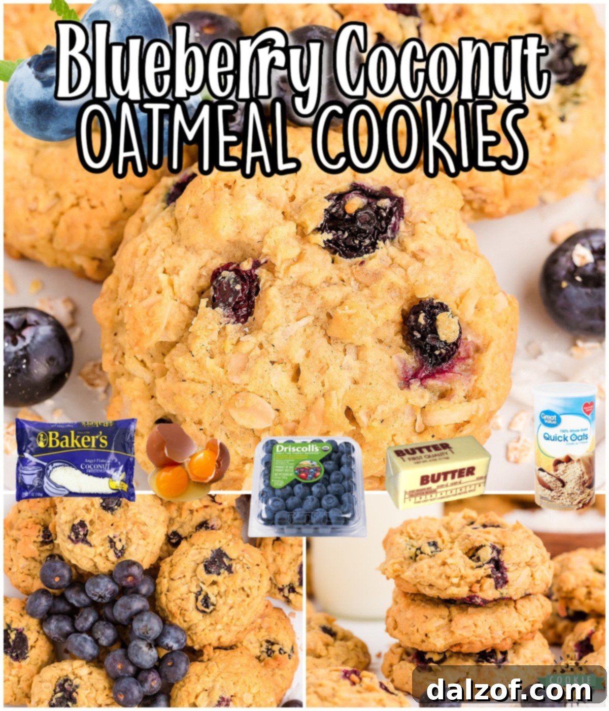Blueberry Oatmeal Cookies are soft & chewy oatmeal cookies with lovely coconut & fresh blueberries! A delightful twist on oatmeal cookies!