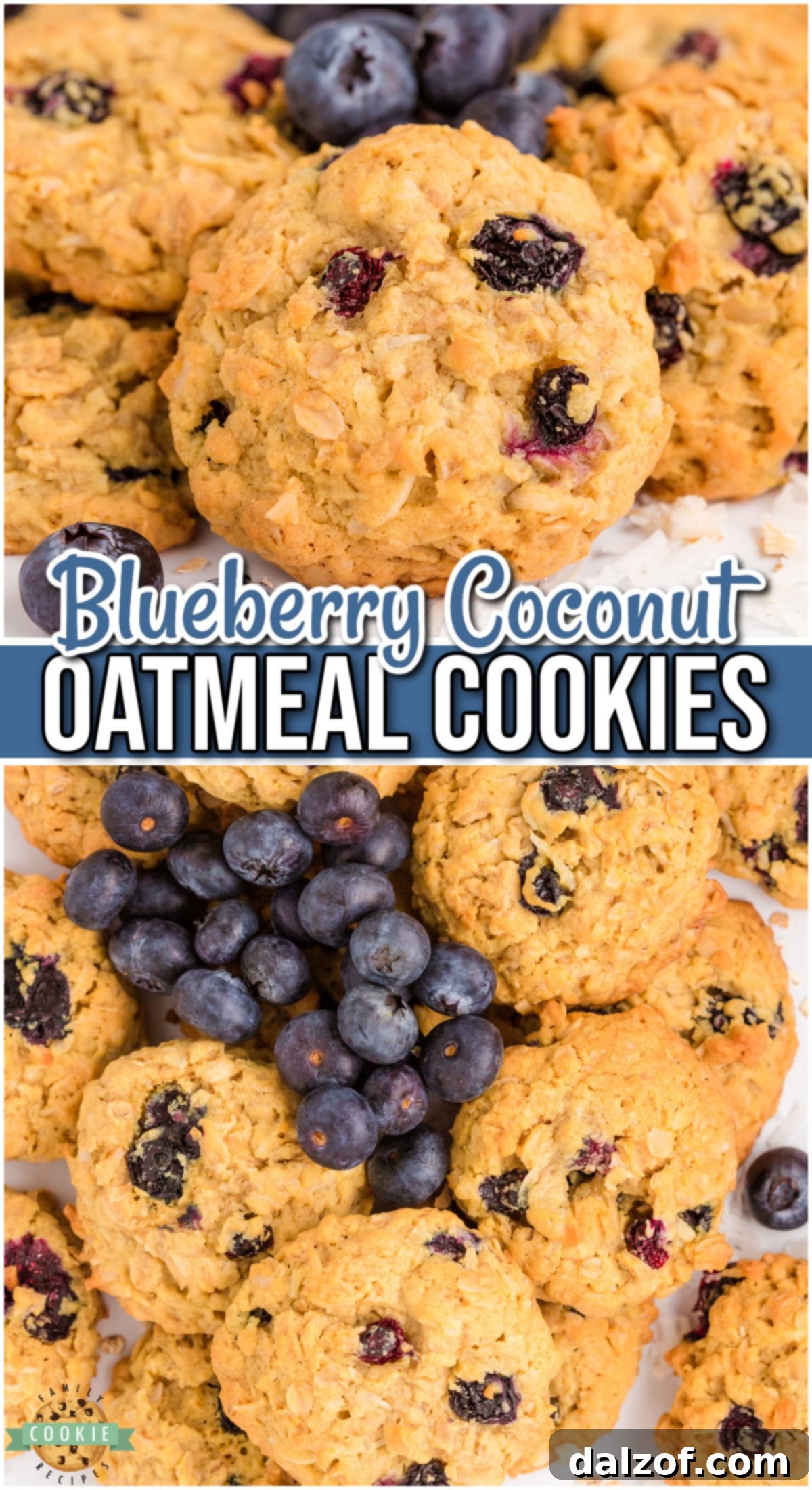 Blueberry Oatmeal Cookies are soft & chewy oatmeal cookies with lovely coconut & fresh blueberries! A delightful twist on oatmeal cookies!