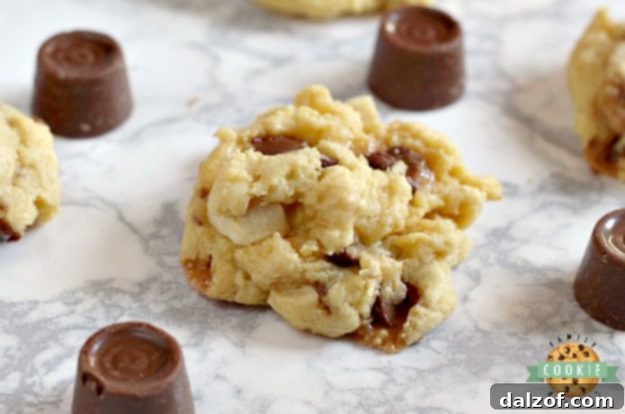 Delicious Caramel Apple Cake Mix Cookies with chopped apples and Rolo candies.