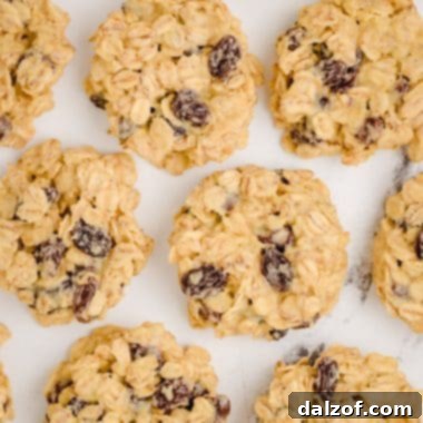no bake oatmeal raisin cookies made with pudding mix