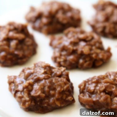 no bake cookie recipe with coconut