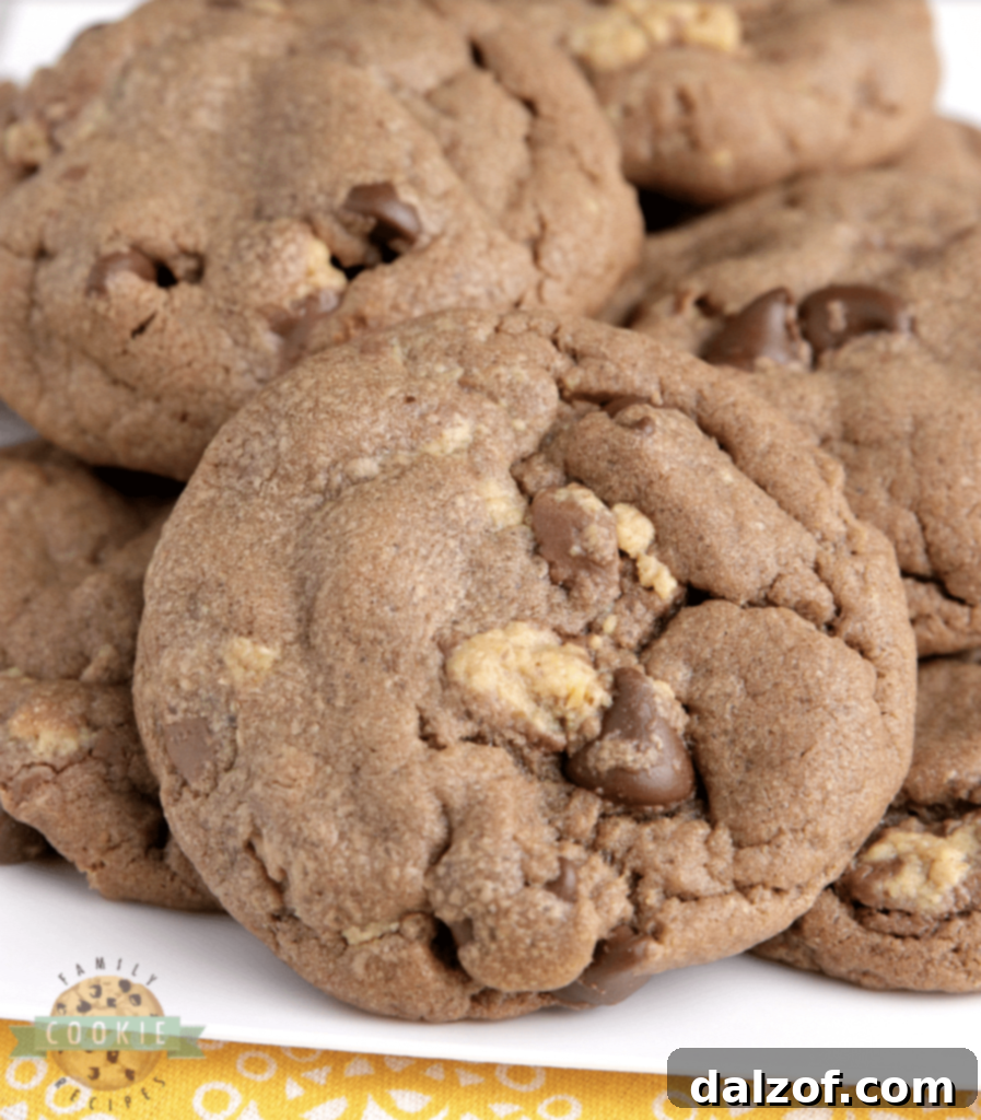 Irresistible Peanut Butter Cookies 19 Reese's Chocolate Peanut Butter Cookies full of chocolate, peanut butter, and Reese's Peanut Butter Cups for a soft, chewy, and perfect treat.